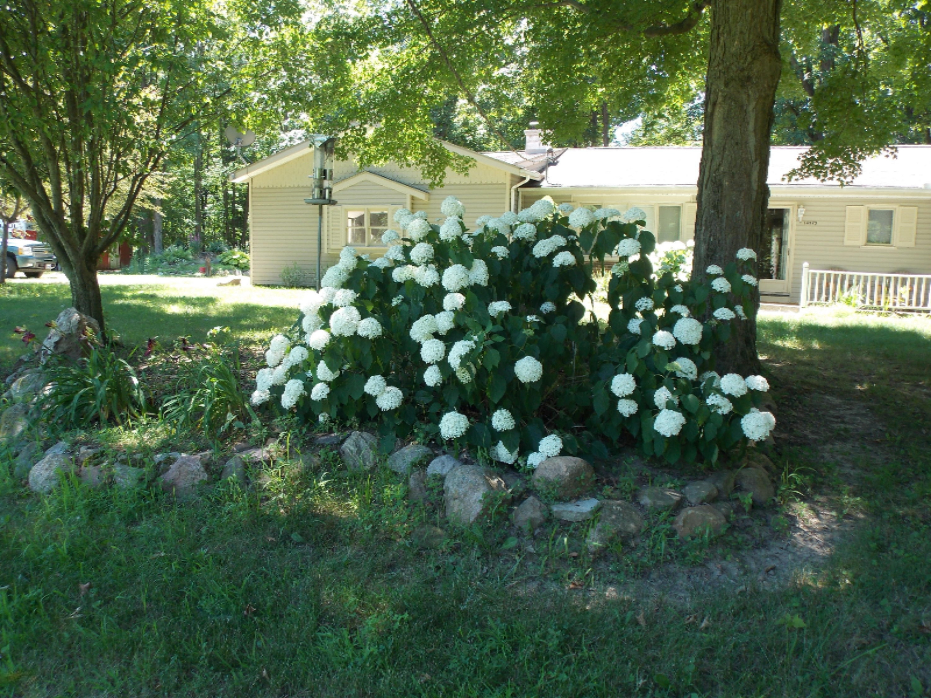 14573 Lawrence Road Hudson, MI 49247 - Photo 19 of 23 DSCN0594