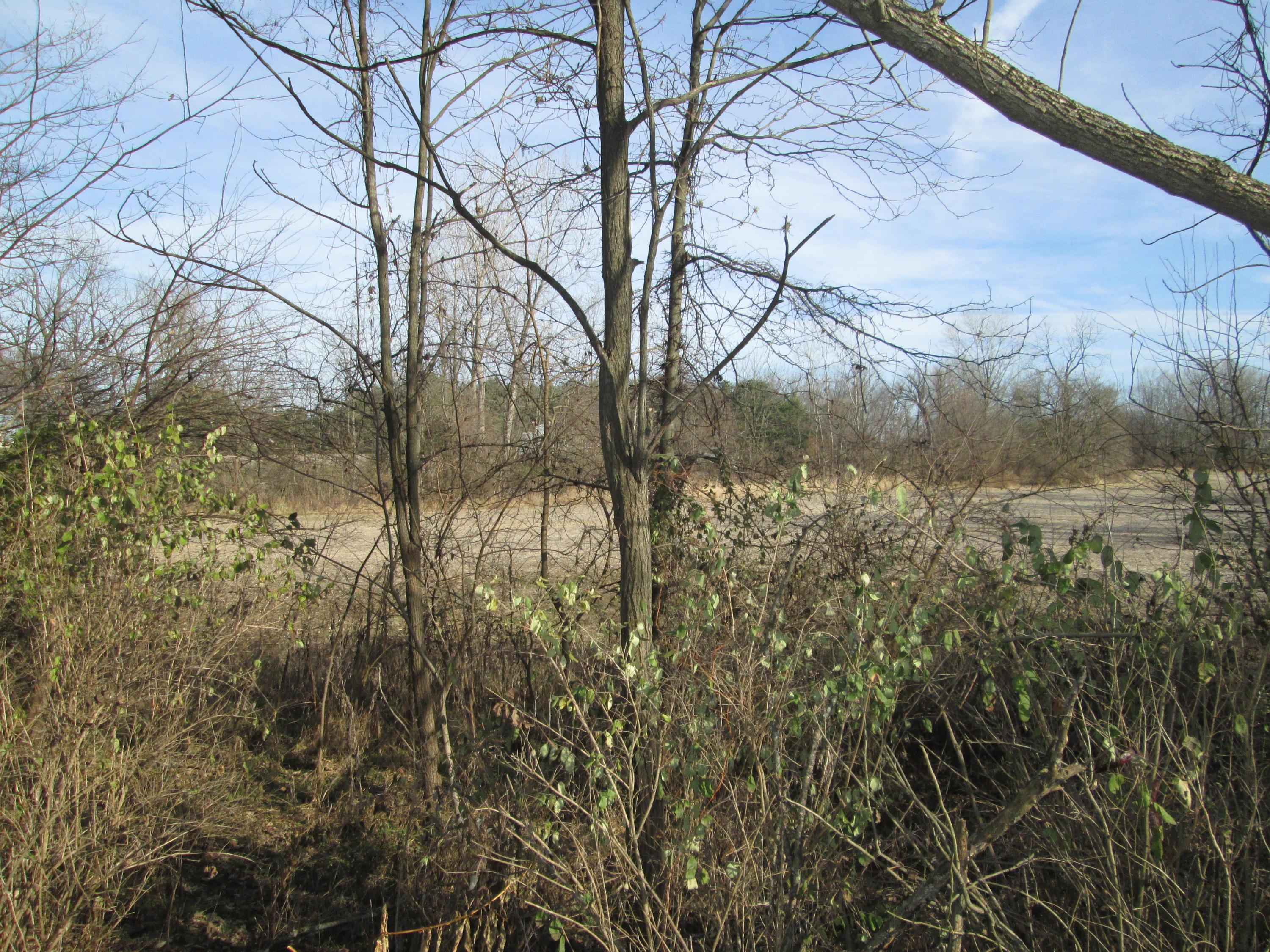 4905 National Road Southwest, Unit TRACT 2 Hebron, OH 43025 - Photo 8 of 9