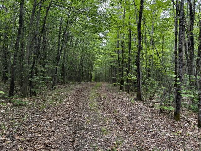 46 Dore Hill Road Athens, ME 04912 - Photo 1 of 14 IMG_5122