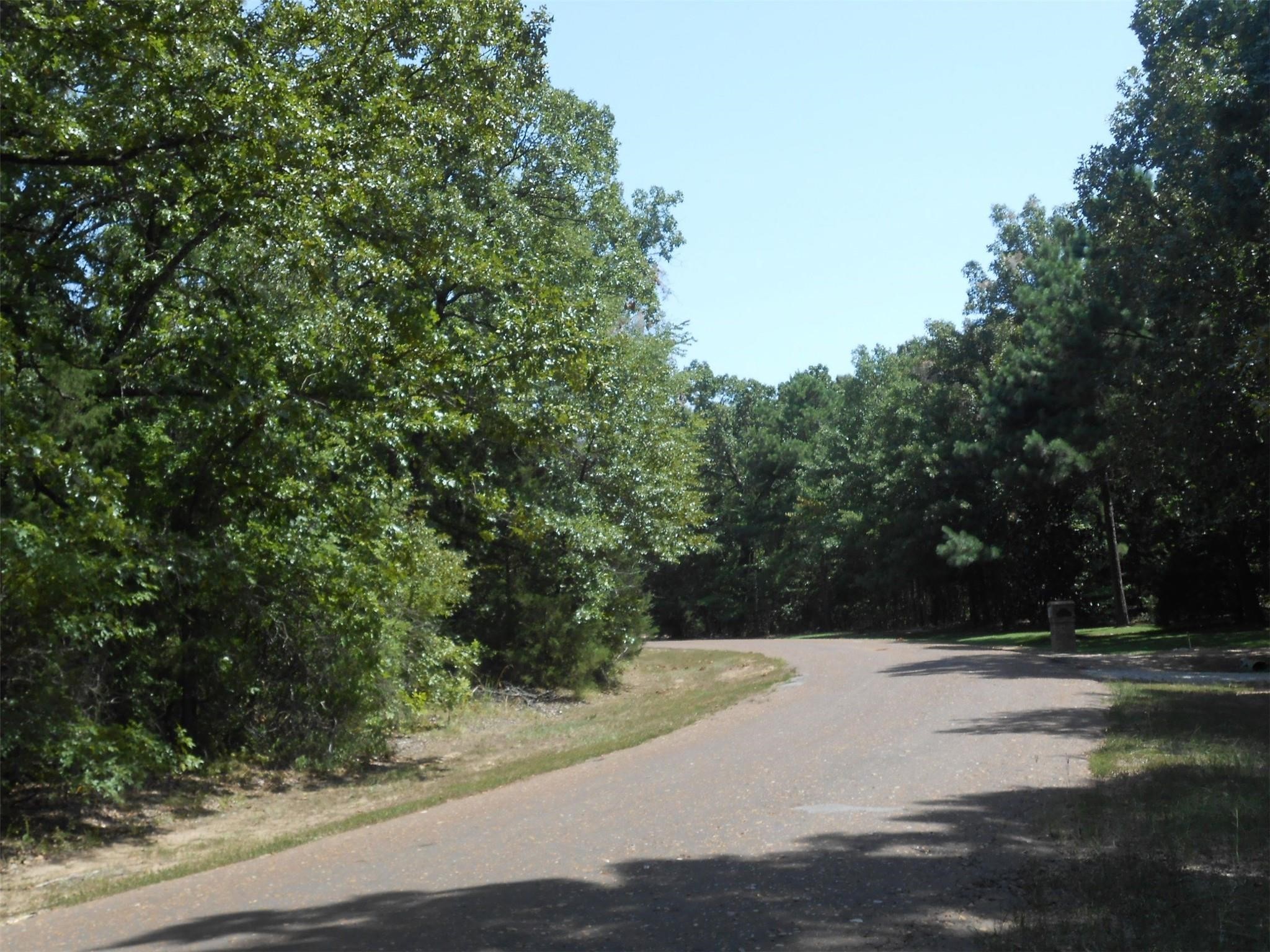 0 Tobacco Road Brookeland, TX 75931 - Photo 4 of 6 a view of swimming pool with a yard