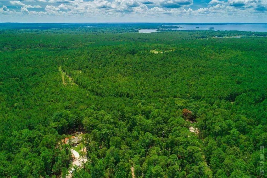 0 Tobacco Road Brookeland, TX 75931 - Photo 5 of 6 a view of yard with green space