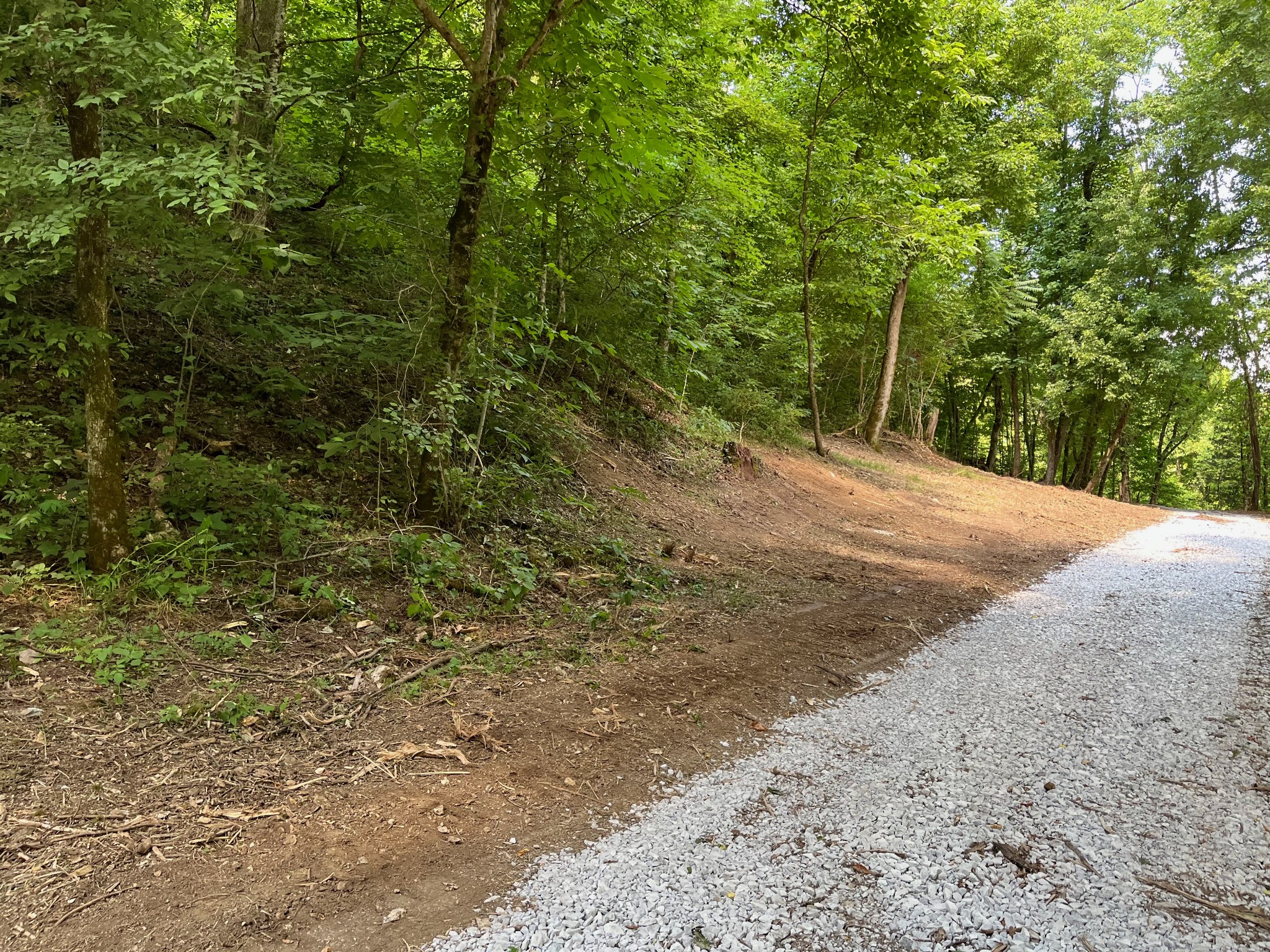 135 Dillehay Hollow Road Pleasant Shade, TN 37145 - Photo 25 of 47