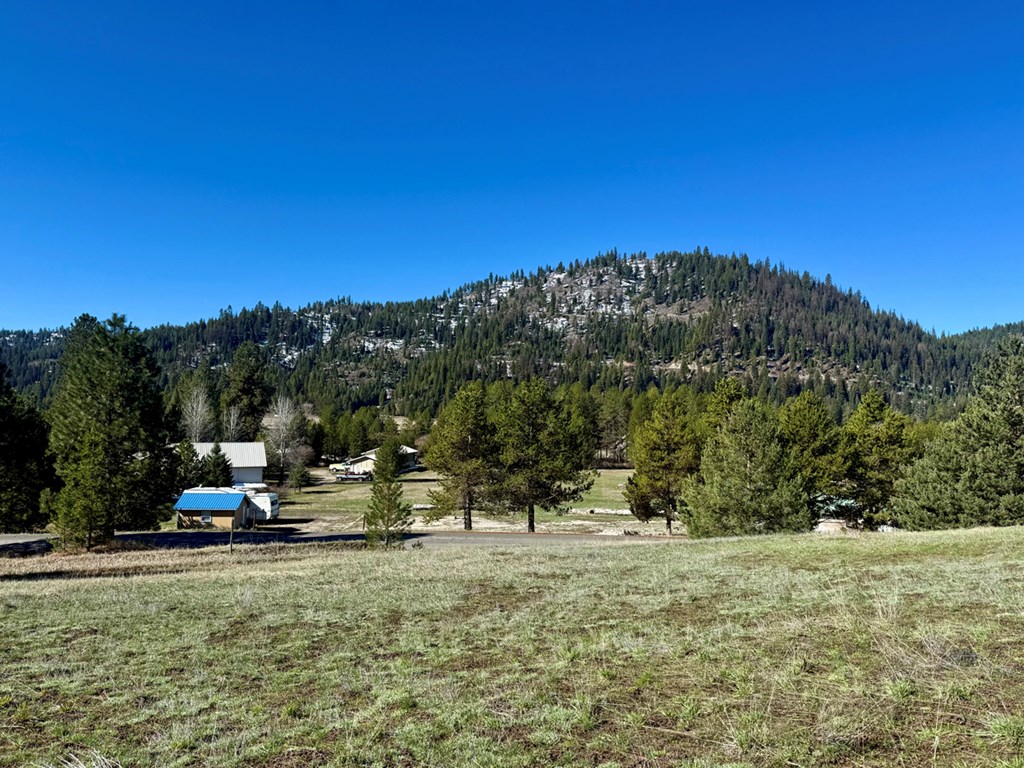 Pt Lot 7 Packer John Road, Unit 7 Cascade, ID 83611 - Photo 10 of 16 Gentle Slope Gives Privacy from Neighbors