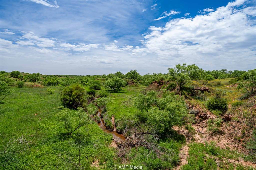 452 C R 452 Trent, TX 79561 - Photo 11 of 38 a view of a bunch of trees