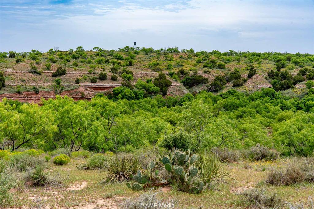 452 C R 452 Trent, TX 79561 - Photo 19 of 38 a view of a bunch of trees and bushes
