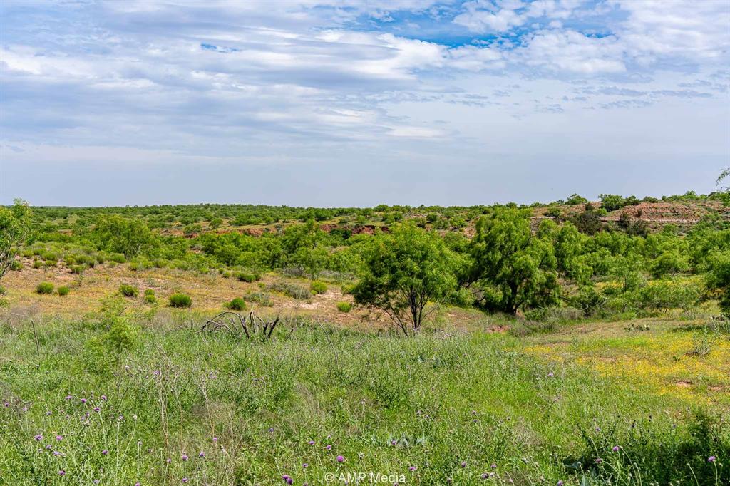 452 C R 452 Trent, TX 79561 - Photo 22 of 38