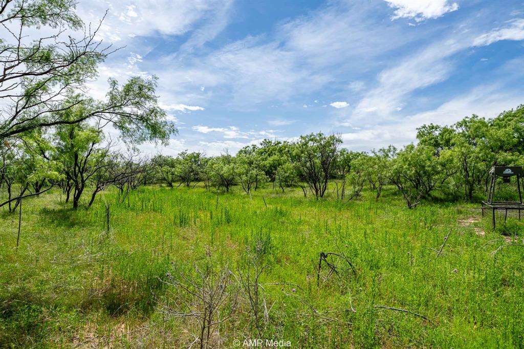 452 C R 452 Trent, TX 79561 - Photo 25 of 38 a view of a garden