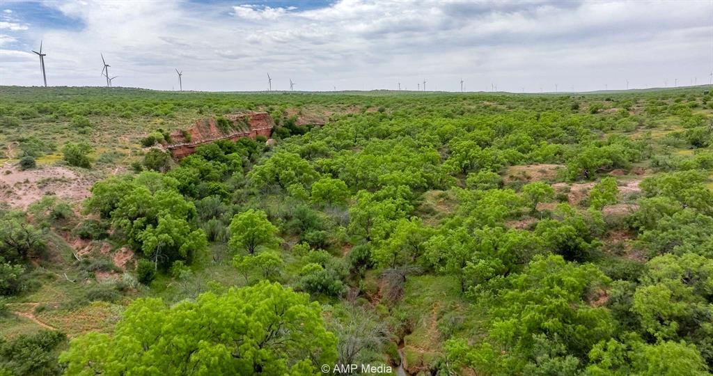 452 C R 452 Trent, TX 79561 - Photo 26 of 38 a view of a yard