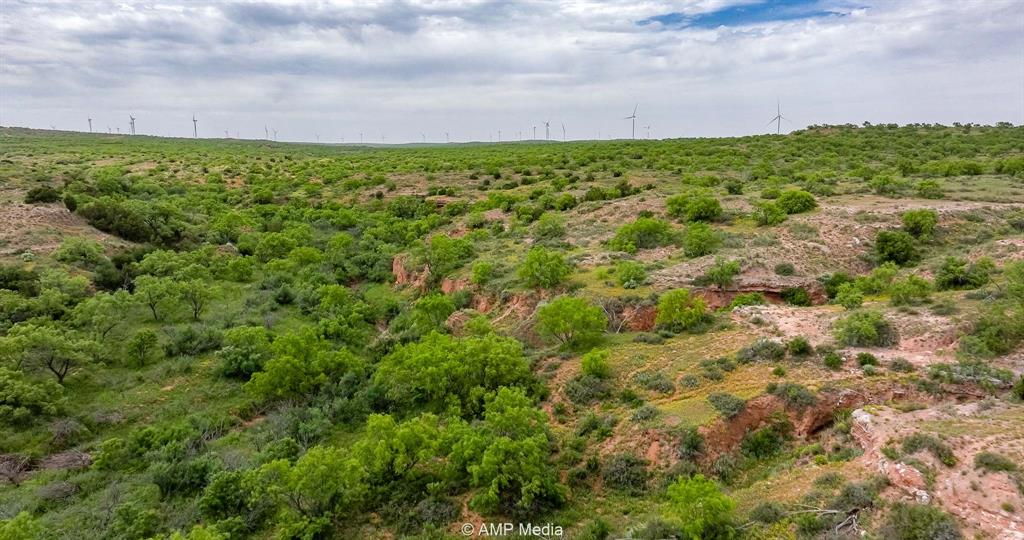 452 C R 452 Trent, TX 79561 - Photo 27 of 38 a view of a bunch of trees in a field