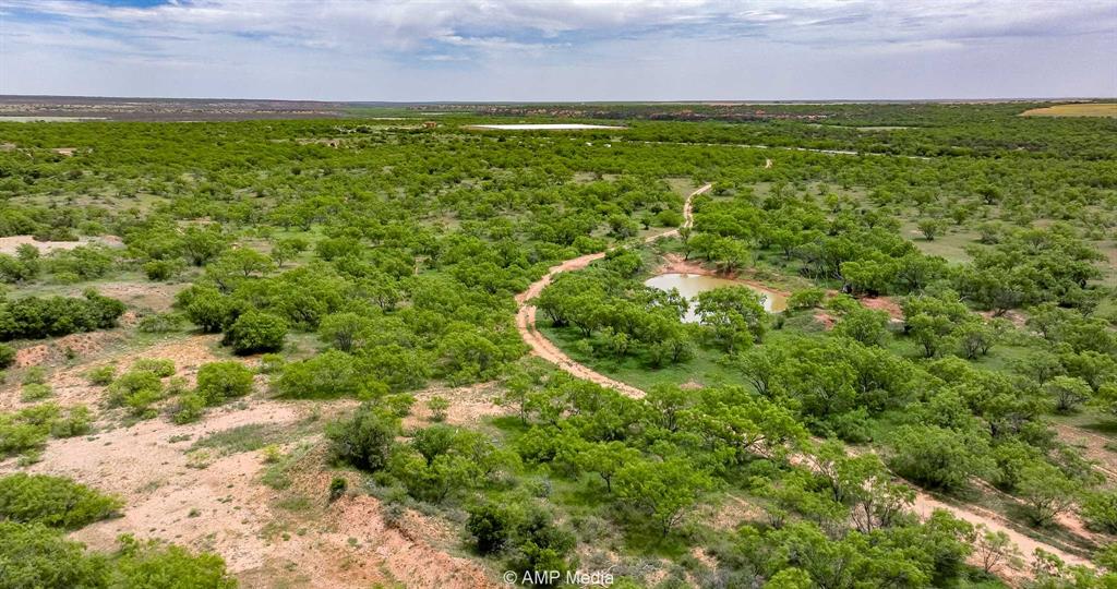452 C R 452 Trent, TX 79561 - Photo 34 of 38 a view of a yard with a house