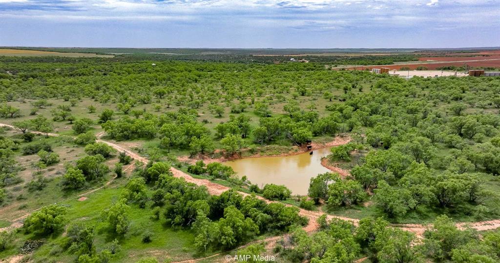 452 C R 452 Trent, TX 79561 - Photo 4 of 38 a view of a yard with plants and a yard