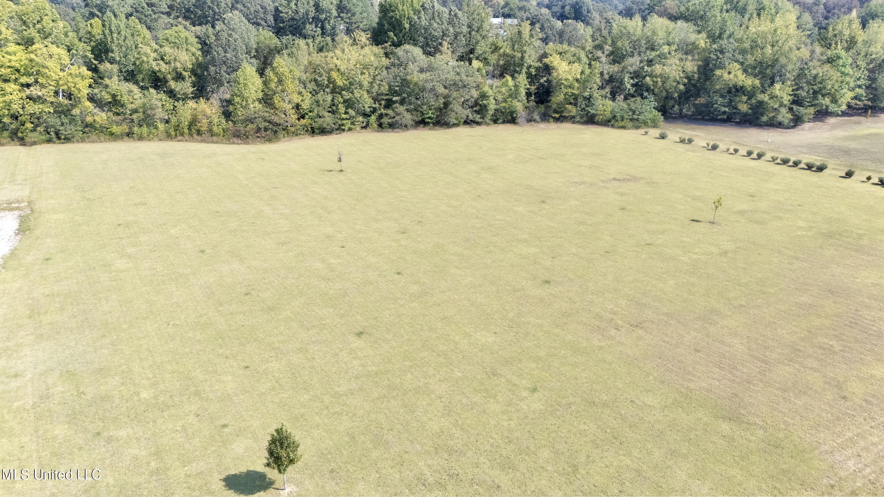 8600 County Line Road Hernando, MS 38632 - Photo 12 of 13 lot-11