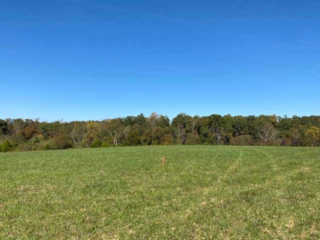 0 Hogan Road Burns, TN 37029 - Photo 1 of 27 a view of a lush green space with sea