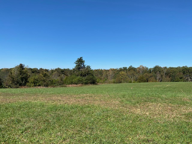 0 Hogan Road Burns, TN 37029 - Photo 13 of 27 a view of field with tall trees