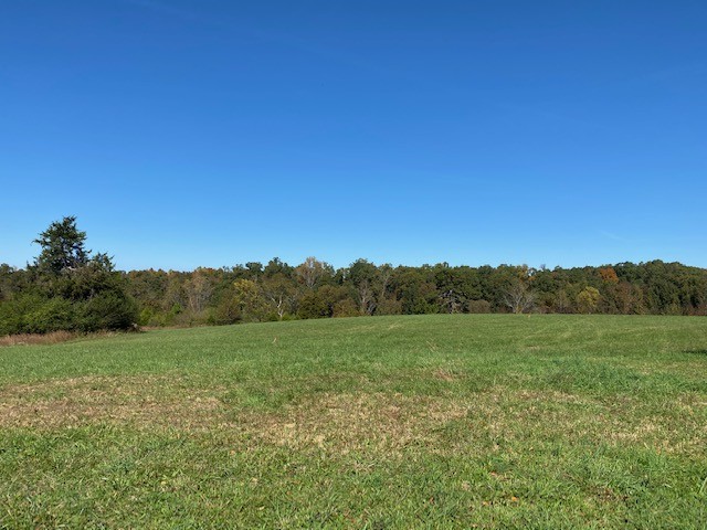 0 Hogan Road Burns, TN 37029 - Photo 16 of 27 a view of a field with a tree in the background