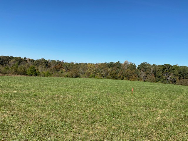 0 Hogan Road Burns, TN 37029 - Photo 17 of 27 a view of an outdoor space with a lake view
