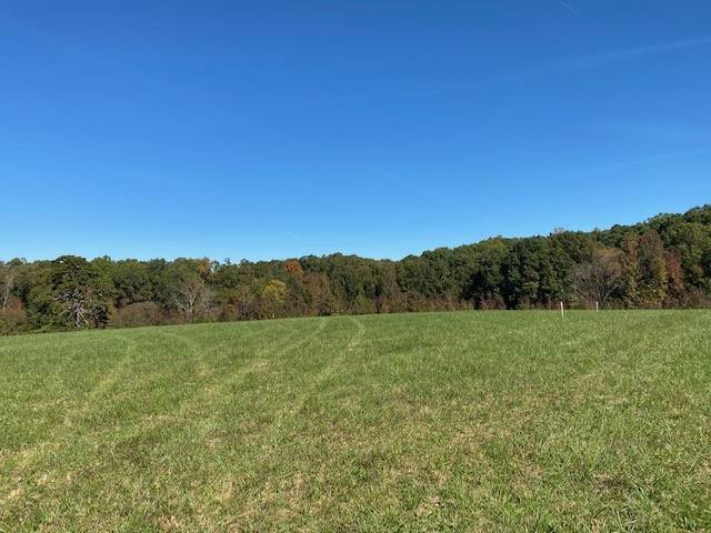 0 Hogan Road Burns, TN 37029 - Photo 18 of 27 a view of a field with a tree in the background