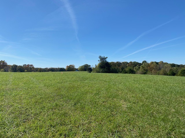 0 Hogan Road Burns, TN 37029 - Photo 21 of 27 a view of a grassy field and trees