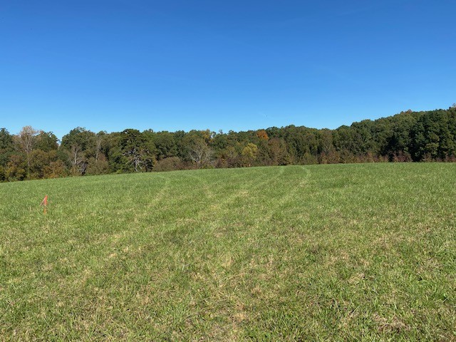0 Hogan Road Burns, TN 37029 - Photo 4 of 27 a view of a field with a tree in the background