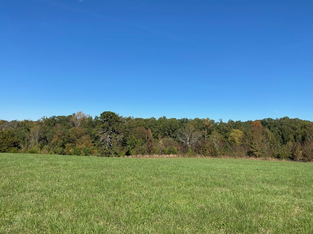 0 Hogan Road Burns, TN 37029 - Photo 6 of 27 a view of a outdoor space with green field and mountains