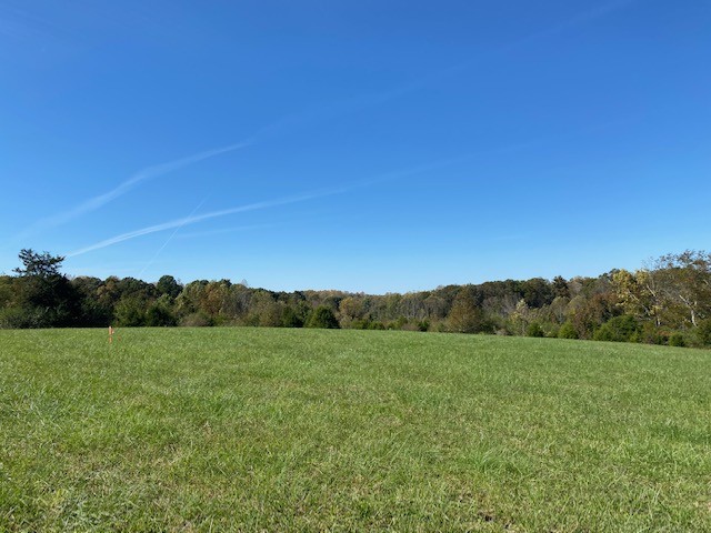 0 Hogan Road Burns, TN 37029 - Photo 7 of 27 a view of a field with grass
