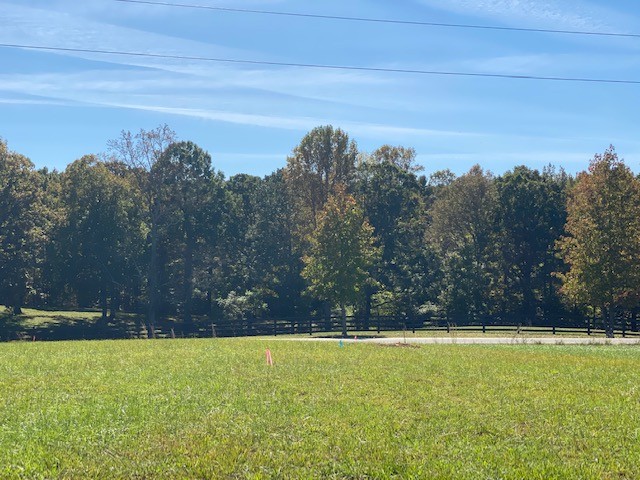0 Hogan Road Burns, TN 37029 - Photo 10 of 27 a view of a yard