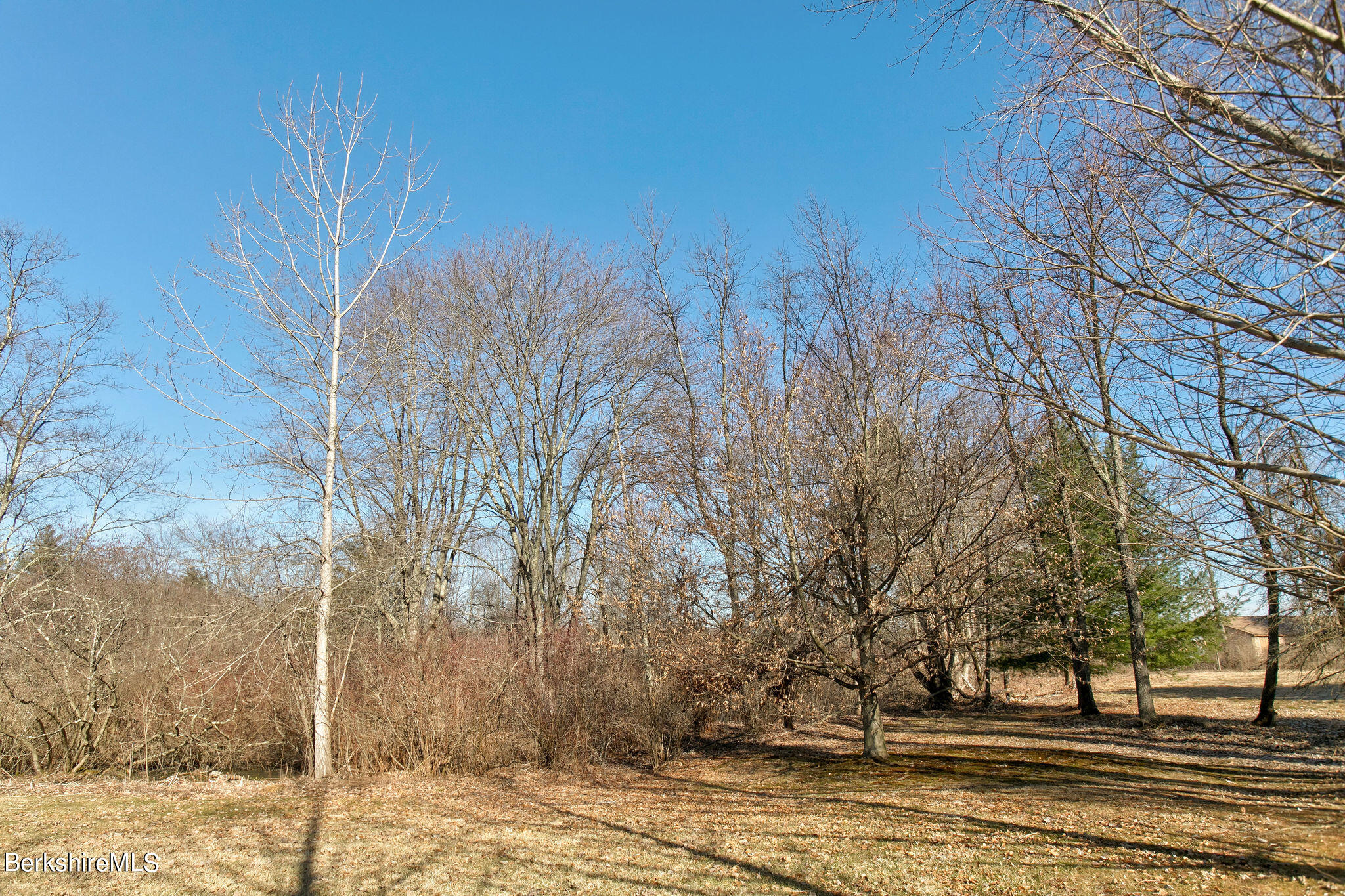 84 Cook Road Sheffield, MA 01257 - Photo 36 of 41 Big Yard