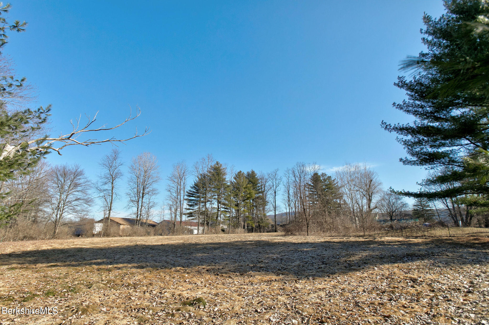 84 Cook Road Sheffield, MA 01257 - Photo 37 of 41 Field