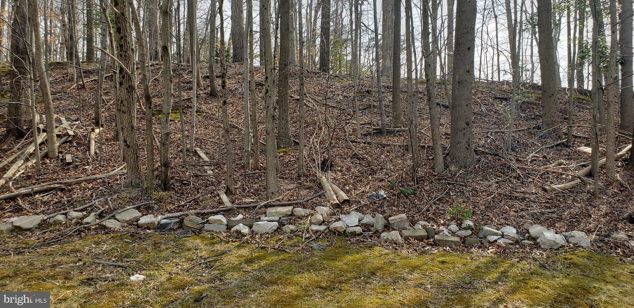 8513 Ritchboro Road District Heights, MD 20747 - Photo 63 of 65