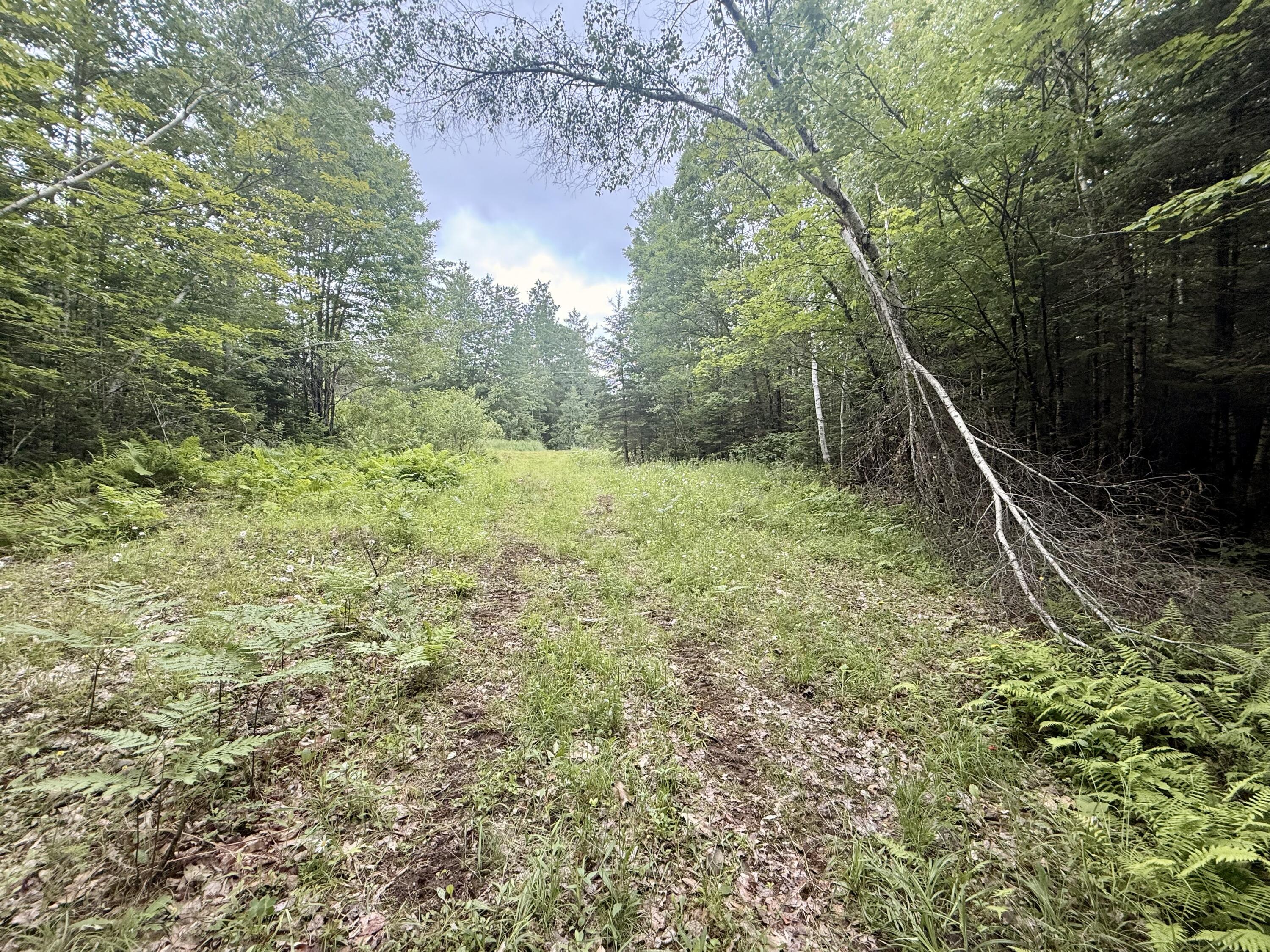 27-3 Marks Road Albion, ME 04910 - Photo 6 of 16 IMG_0971