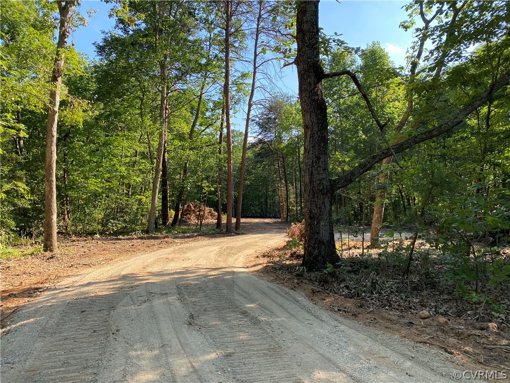 3673 Three Chopt Road Gum Spring, VA 23065 - Photo 3 of 8 a view of outdoor space with trees
