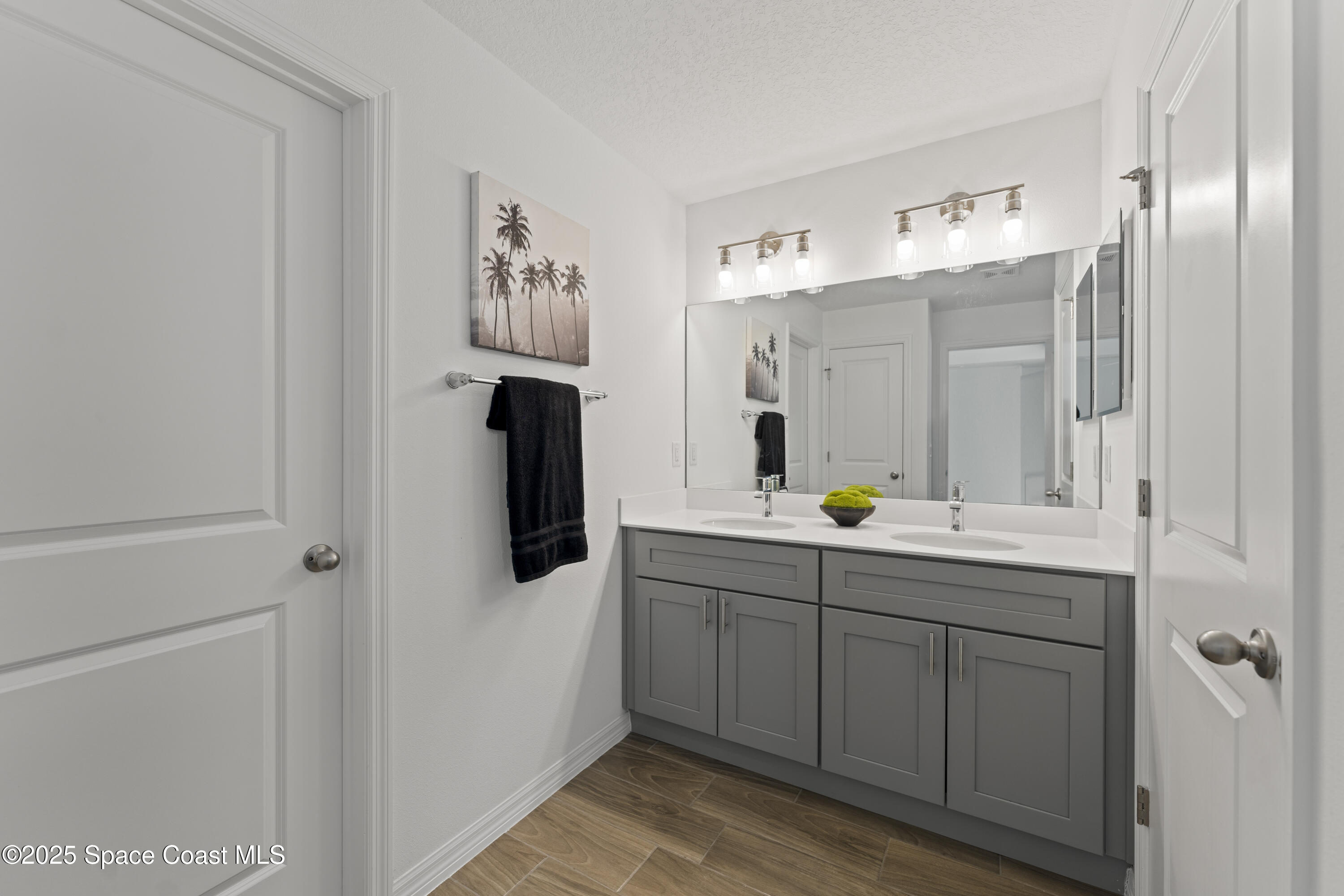 1938 Jupiter Boulevard Southwest Palm Bay, FL 32908 - Photo 14 of 21 a bathroom with a sink and a mirror
