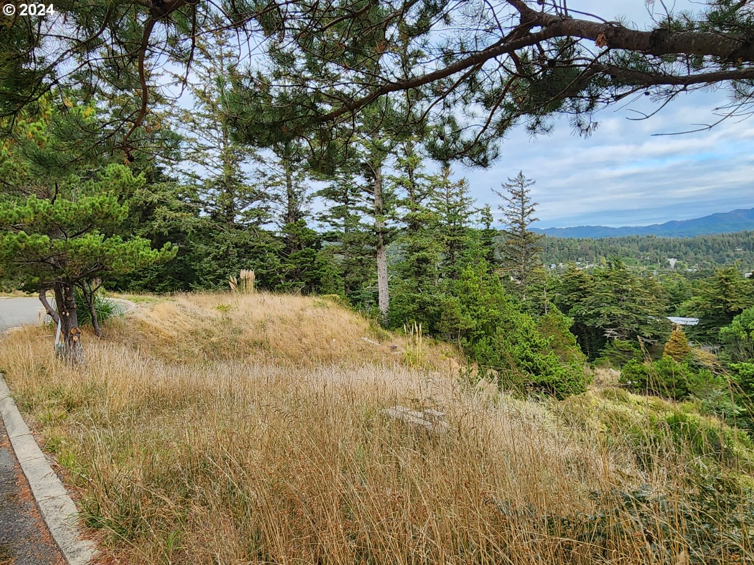 Boot Hill Port Orford, OR 97465 - Photo 11 of 15 a view of a yard with a tree
