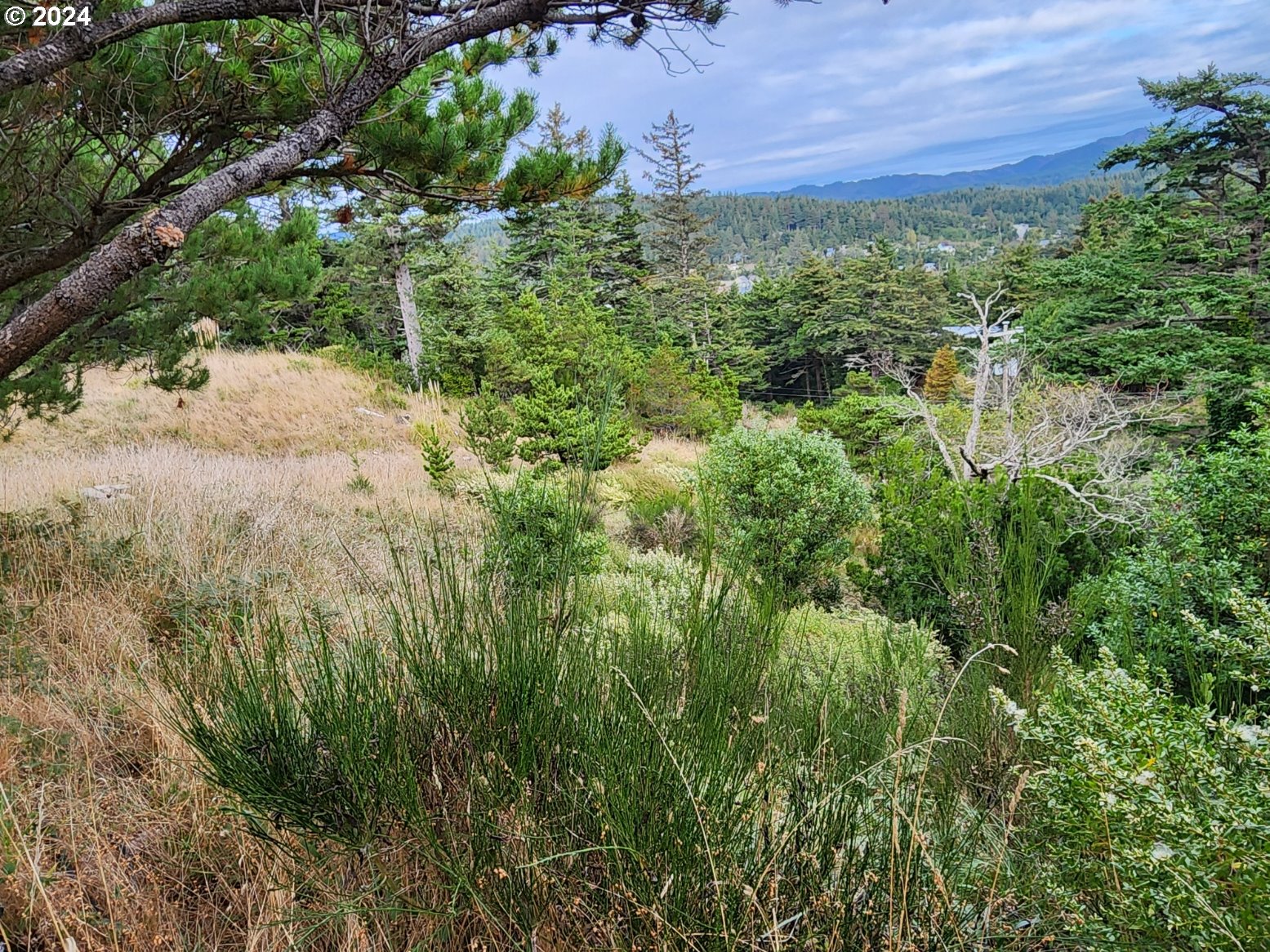 Boot Hill Port Orford, OR 97465 - Photo 12 of 15 a view of a garden with an outdoor space