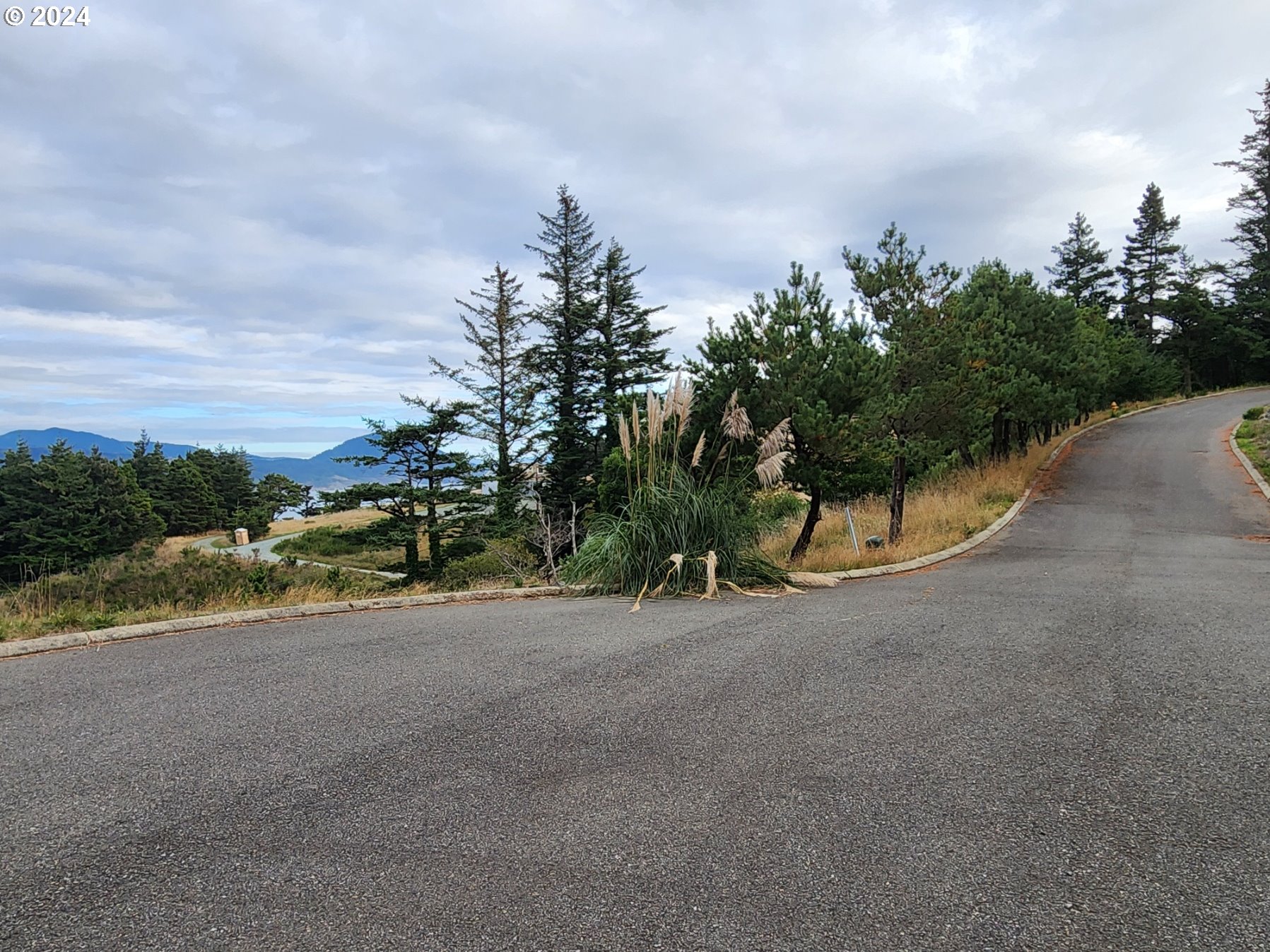 Boot Hill Port Orford, OR 97465 - Photo 13 of 15 a view of a field with trees in the background