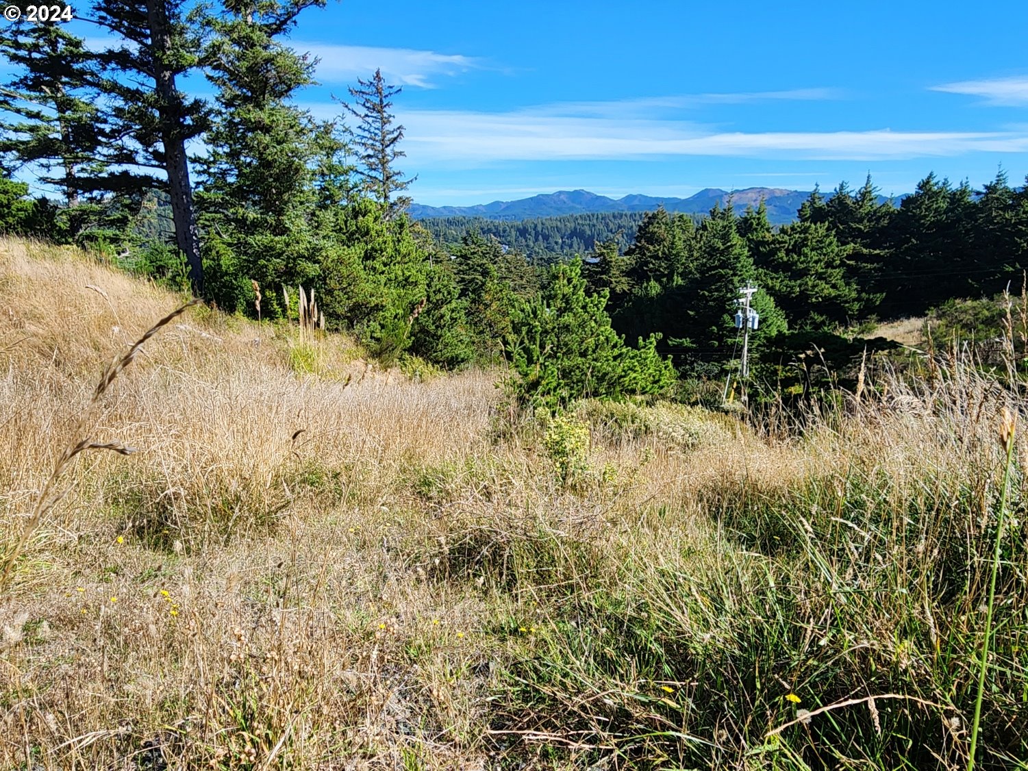 Boot Hill Port Orford, OR 97465 - Photo 14 of 15 a view of a lake with a city