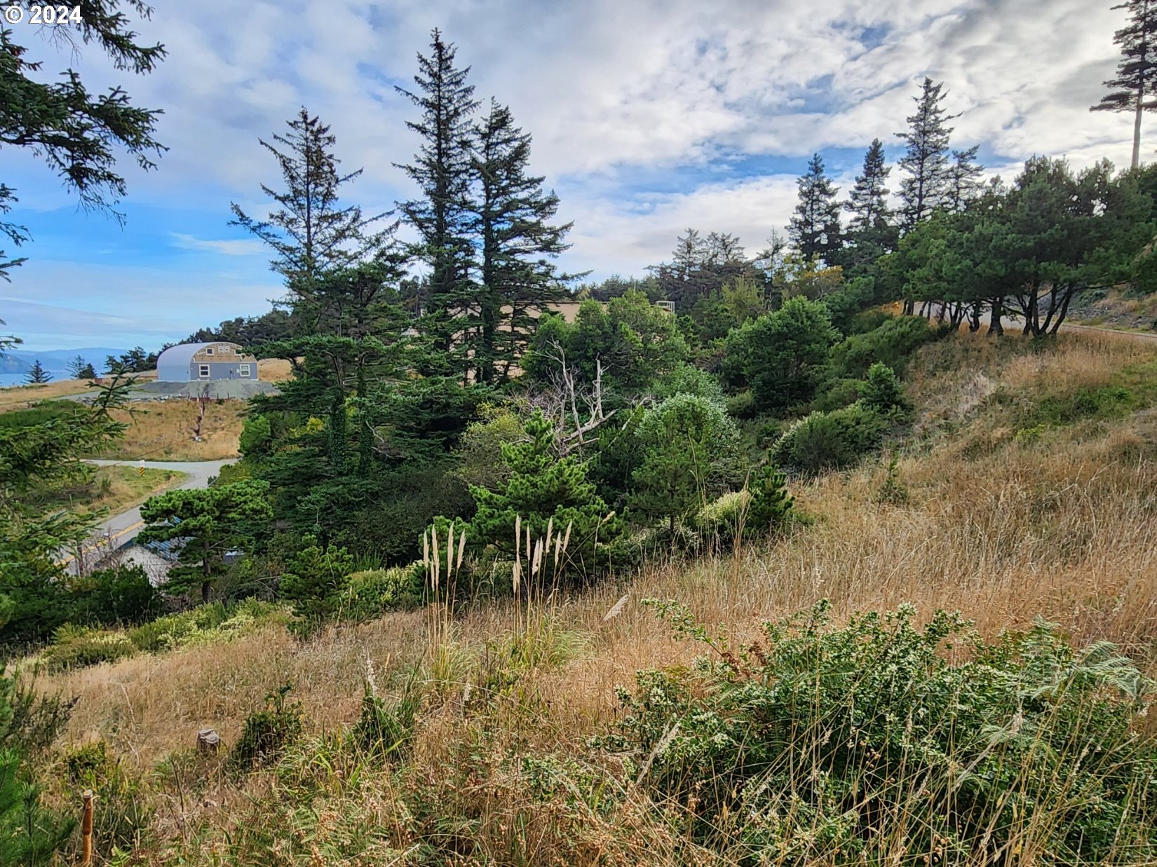 Boot Hill Port Orford, OR 97465 - Photo 4 of 15 a view of a lake with a house in background