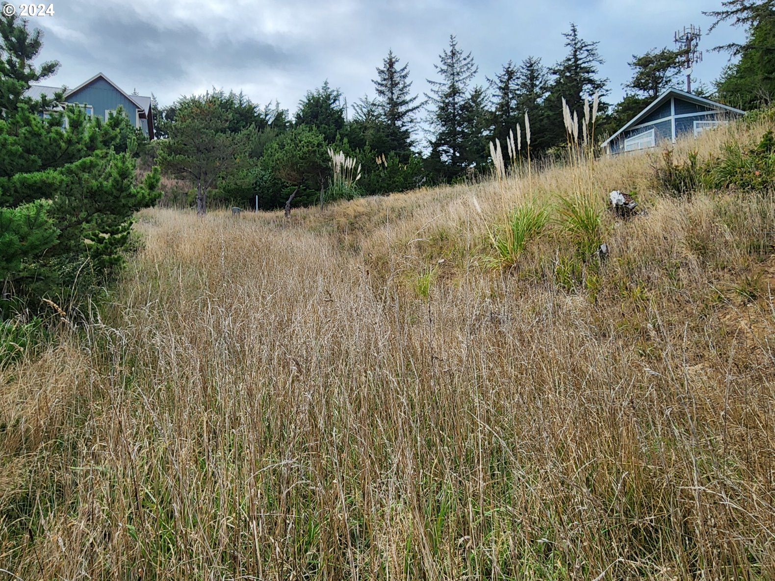 Boot Hill Port Orford, OR 97465 - Photo 6 of 15 a view of a lake view