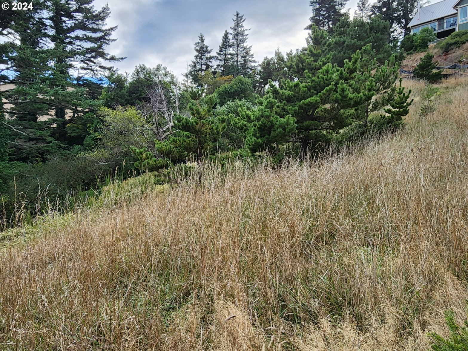 Boot Hill Port Orford, OR 97465 - Photo 8 of 15 a view of a lake with a yard