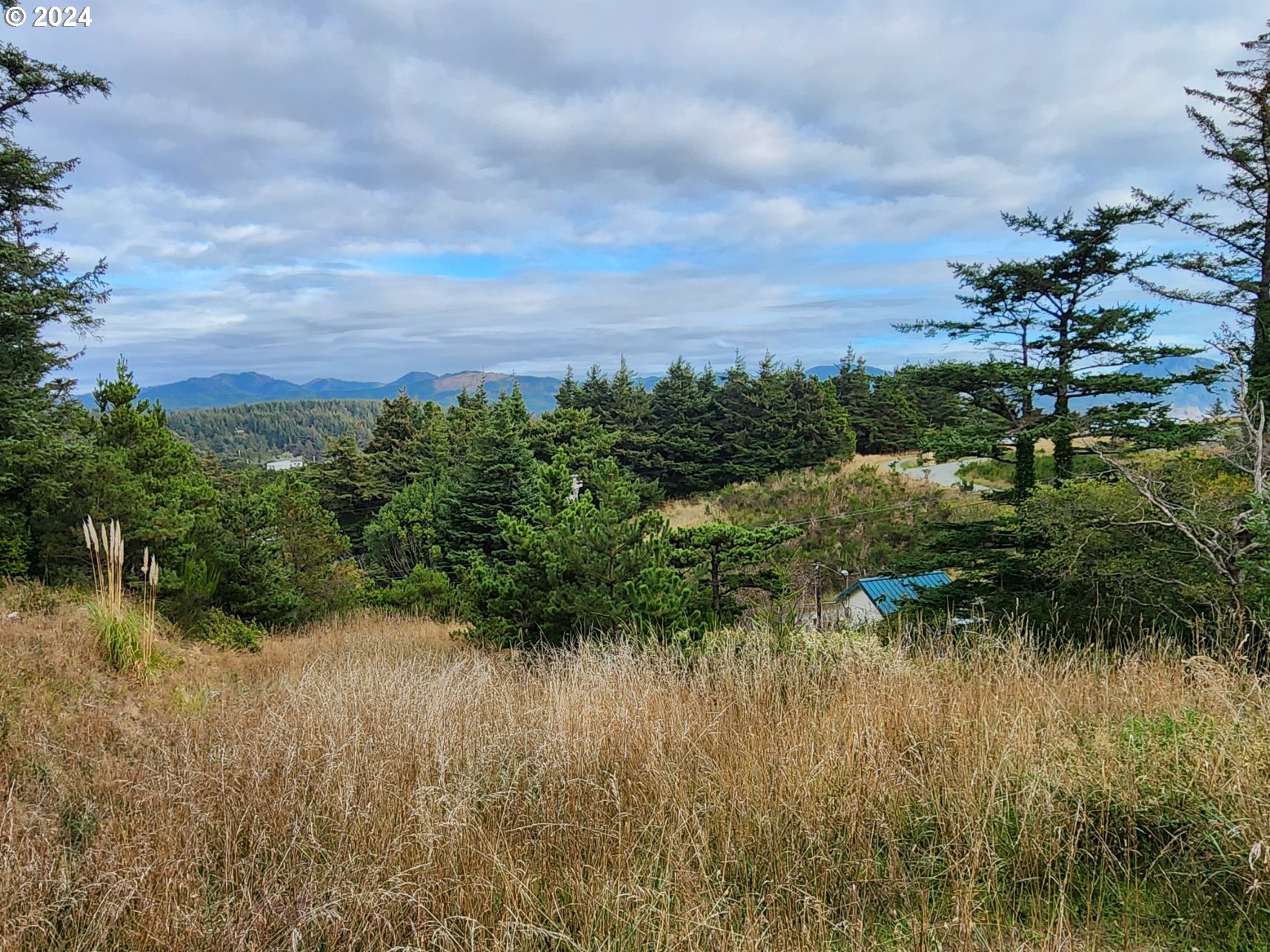 Boot Hill Port Orford, OR 97465 - Photo 9 of 15 a view of a lake with a city