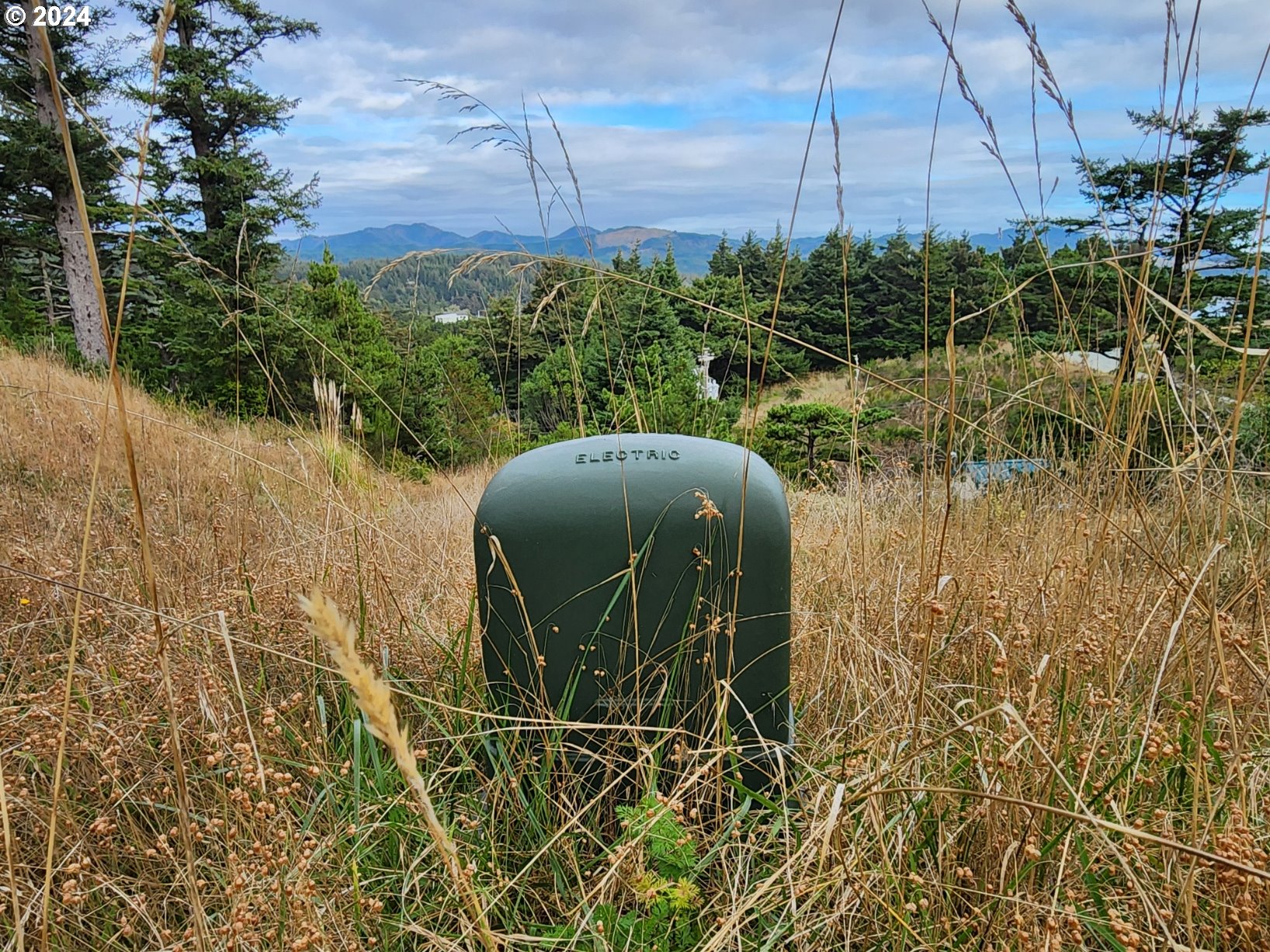 Boot Hill Port Orford, OR 97465 - Photo 10 of 15 a view of a garden