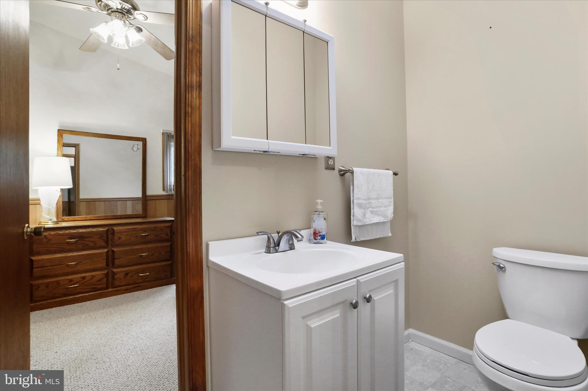 222 Skippers Point Road Oakland, MD 21550 - Photo 21 of 59 a bathroom with a sink a toilet and a mirror