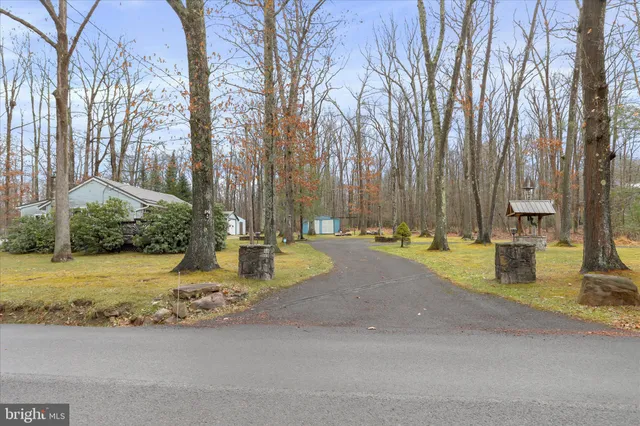 a view of a yard with trees