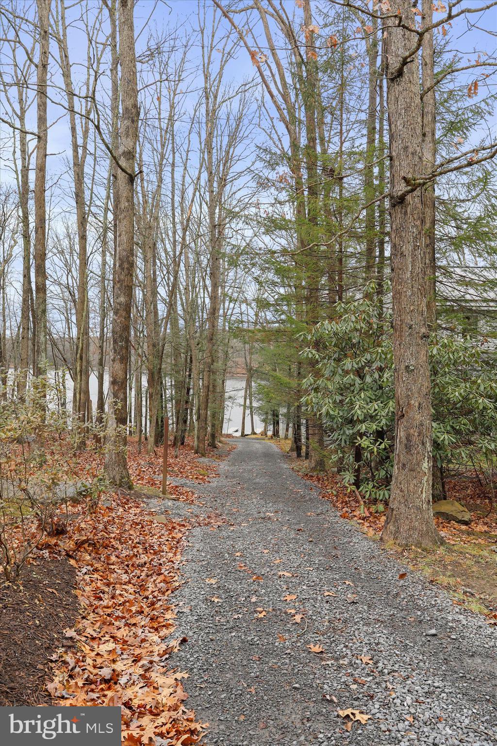 222 Skippers Point Road Oakland, MD 21550 - Photo 39 of 59 a view of a yard with trees