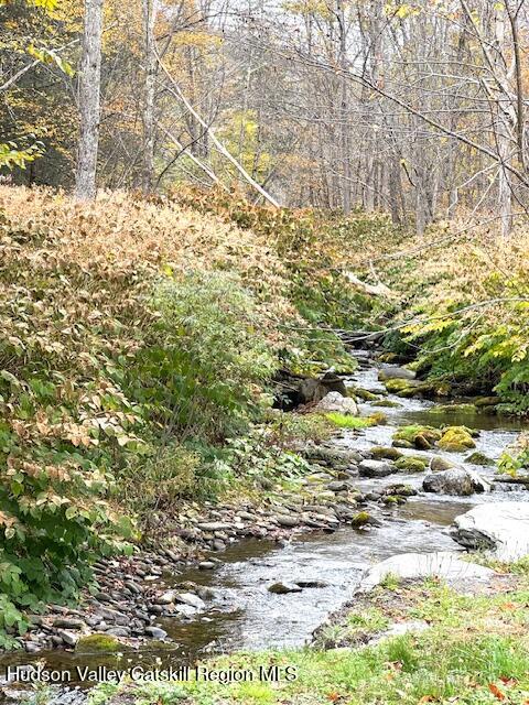 35 Old Rte 42 Shandaken, NY 12480 - Photo 32 of 34 a view of ocean view
