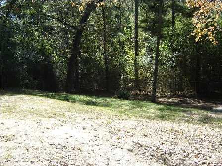 1300 Gillespie Road Chattanooga, TN 37411 - Photo 6 of 17 Additional Photo