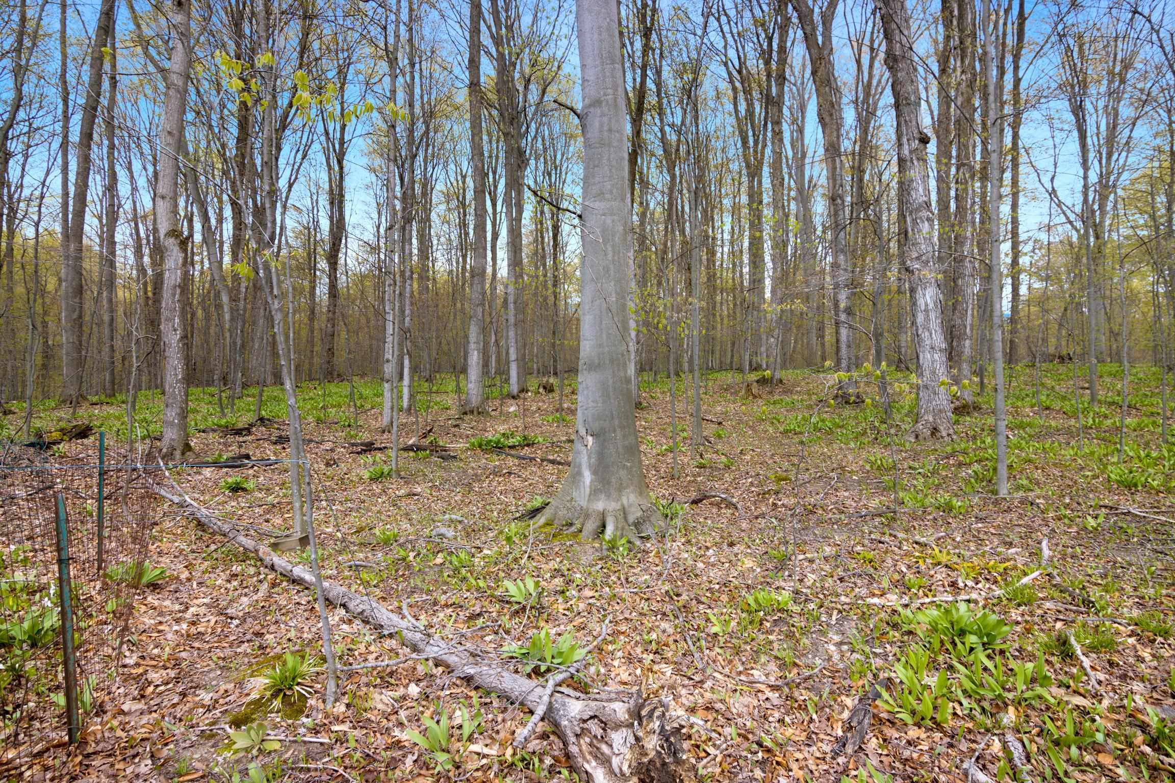 1014 Fairview Beulah, MI 49617 - Photo 33 of 38
