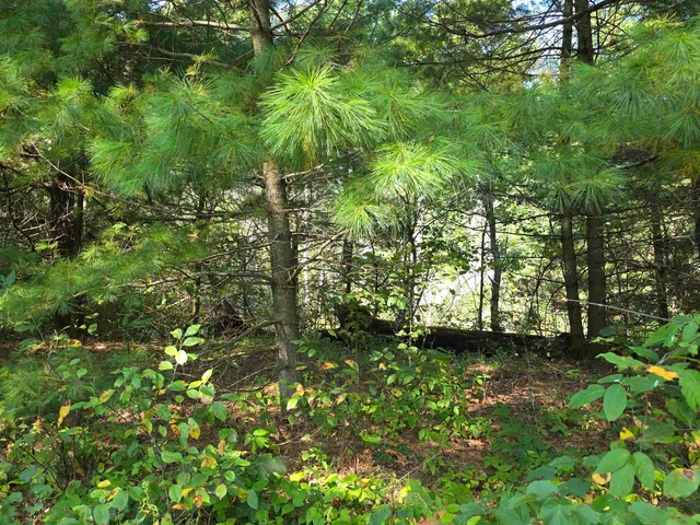 $169,900 | W6256 County Road A, New Lisbon, WI 53950