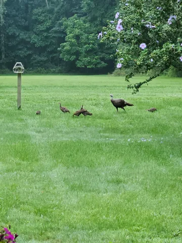 $404,900 | 27890 South D Drive South, Albion, MI 49224