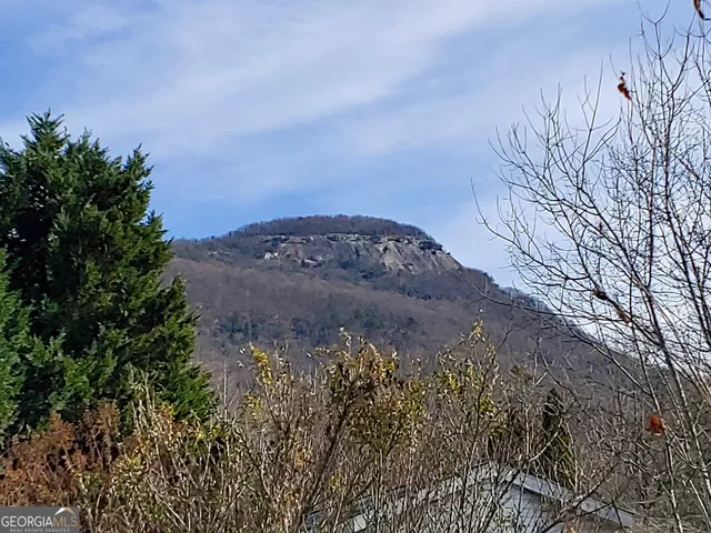 a view of a dry yard with trees in the background